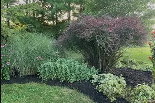 7646 Spencer Lake Rd, Medina, OH 44256 - Photo 37