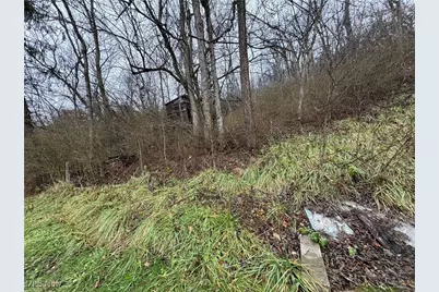 64301 Shady Lane Road, Bellaire, OH 43906 - Photo 17