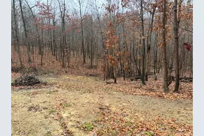 17130 Burson Road, Lore City, OH 43755 - Photo 33