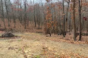 17130 Burson Rd, Lore City, OH 43755 - Photo 33