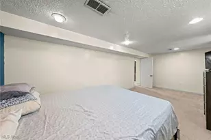 3817 Woodbridge Ave, Loveland, OH 44109 - Photo 29