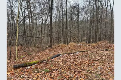 Pert Hill Road, Hopewell, OH 43746 - Photo 1