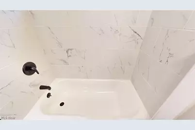 3332 Walton Avenue, Loveland, OH 44113 - Photo 45