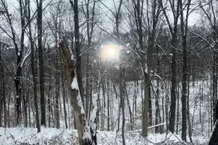 15639 SE Grove Road SE, Port Washington, OH 43837 - Photo 15