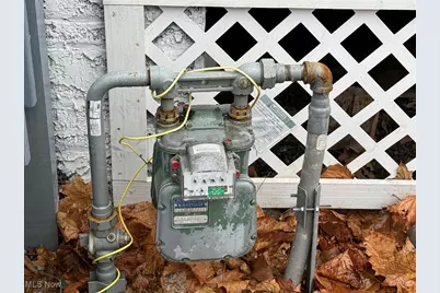 1028 E 146th Street, Loveland, OH 44110 - Photo 5