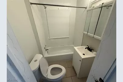 1028 E 146th Street, Loveland, OH 44110 - Photo 17