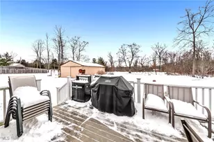 7191 Spencer Lake Rd, Medina, OH 44256 - Photo 35