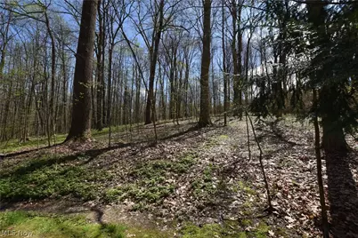 9316 Lakewood Drive NE, Mineral City, OH 44656 - Photo 29