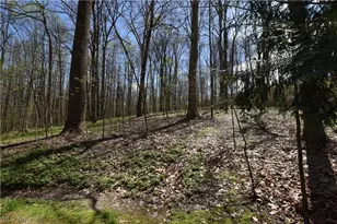 9316 Lakewood Dr NE, Mineral City, OH 44656 - Photo 29