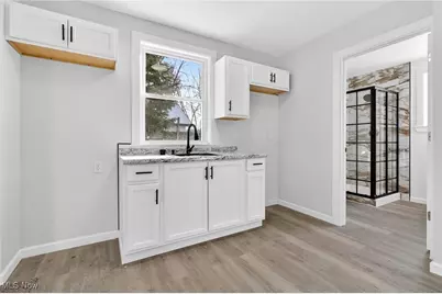 833 E 156th Street, Loveland, OH 44110 - Photo 43