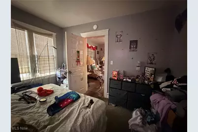 9521 Mount Auburn Avenue, Loveland, OH 44104 - Photo 23