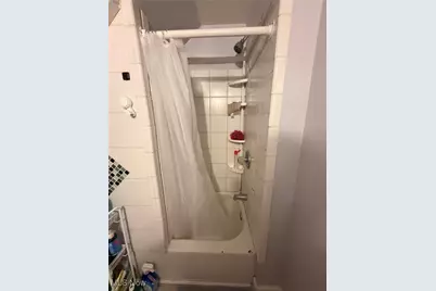 9521 Mount Auburn Avenue, Loveland, OH 44104 - Photo 29