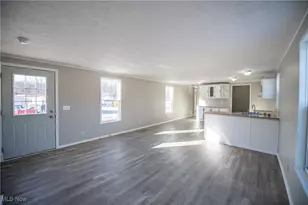 14000 Lincoln St, Minerva, OH 44657 - Photo 9