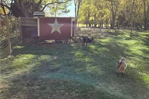 7808 State Route 44, Ravenna, OH 44266 - Photo 47