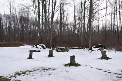 2254 Chapel Road, Jefferson, OH 44047 - Photo 7