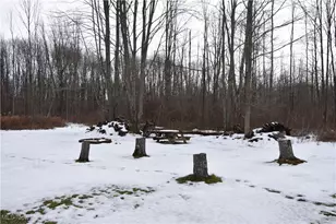 2254 Chapel Rd, Jefferson, OH 44047 - Photo 7