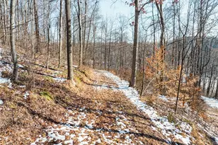 4829 Frys Valley Rd SW, Port Washington, OH 43837 - Photo 41