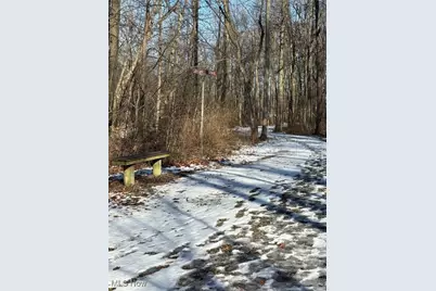 42141 Emerson Court, Elyria, OH 44035 - Photo 37