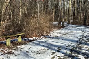 42141 Emerson Ct, Elyria, OH 44035 - Photo 37