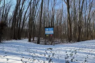 42141 Emerson Ct, Elyria, OH 44035 - Photo 27