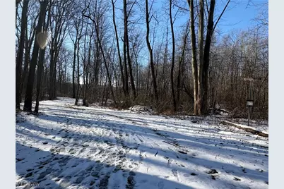 42141 Emerson Court, Elyria, OH 44035 - Photo 35