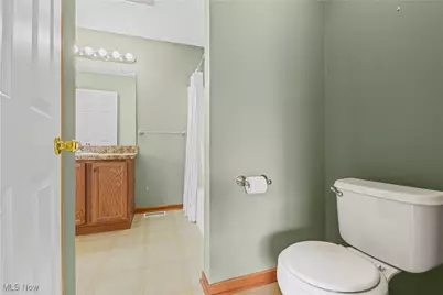 594 Birch Hill Drive, Medina, OH 44256 - Photo 19