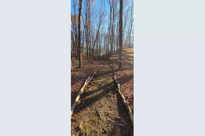 4098 Everett Road, Richfield, OH 44286 - Photo 43