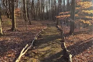 4098 Everett Rd, Richfield, OH 44286 - Photo 43