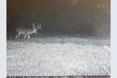 7714 County Rd 14, Corning, OH 43730 - Photo 47