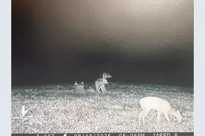 7714 County Rd 14, Corning, OH 43730 - Photo 45