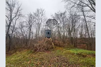 7714 County Rd 14, Corning, OH 43730 - Photo 33