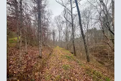 7714 County Rd 14, Corning, OH 43730 - Photo 29