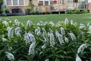 7641 Thorntail Ct, Concord, OH 44077 - Photo 41