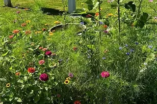 3924 Webb Ln, Stockport, OH 43787 - Photo 27