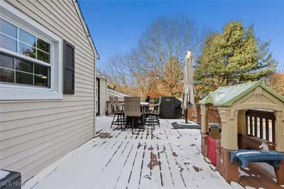 323 Tyson Avenue, Akron, OH 44319 - Photo 35