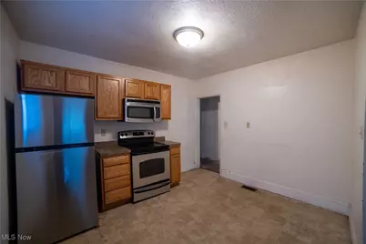 1040 Mercer Avenue, Akron, OH 44320 - Photo 3