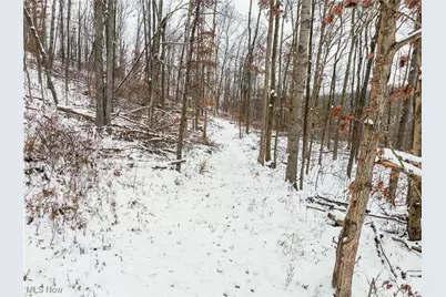 Se Deerhorn Road, Tippecanoe, OH 44699 - Photo 13