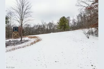 Se Deerhorn Road, Tippecanoe, OH 44699 - Photo 11