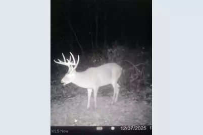 Se Deerhorn Road, Tippecanoe, OH 44699 - Photo 35