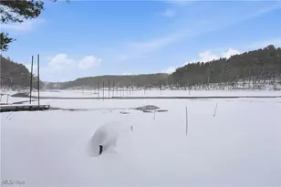 4254 Doral Rd SW, Carrollton, OH 44615 - Photo 45