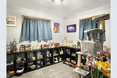 3968 Cannon Road, Austintown, OH 44515 - Photo 13