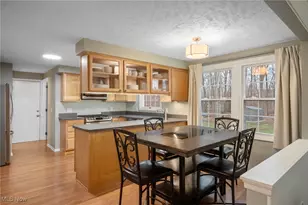 9693 Martinique Dr, Concord, OH 44060 - Photo 9