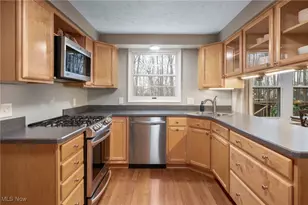 9693 Martinique Dr, Concord, OH 44060 - Photo 11