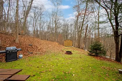 4241 Lattasburg Road, Wooster, OH 44691 - Photo 19