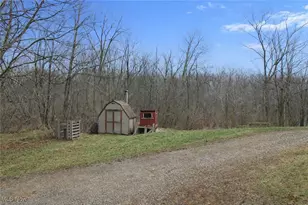 291 Co Rd 800, Polk, OH 44866 - Photo 11