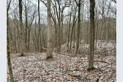 0 Sealover Hollow Road, Philo, OH 43771 - Photo 23