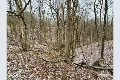 0 Sealover Hollow Road, Philo, OH 43771 - Photo 17