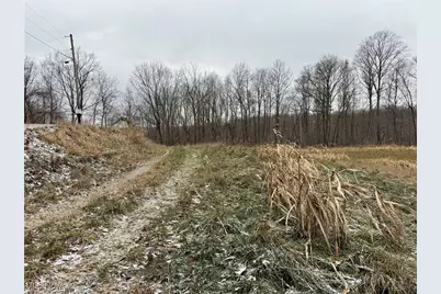 0 Sealover Hollow Road, Philo, OH 43771 - Photo 9