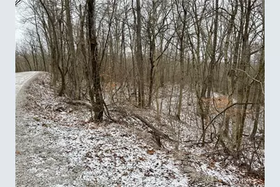 0 Sealover Hollow Road, Philo, OH 43771 - Photo 25