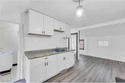 14917 Darwin Avenue, Loveland, OH 44110 - Photo 11